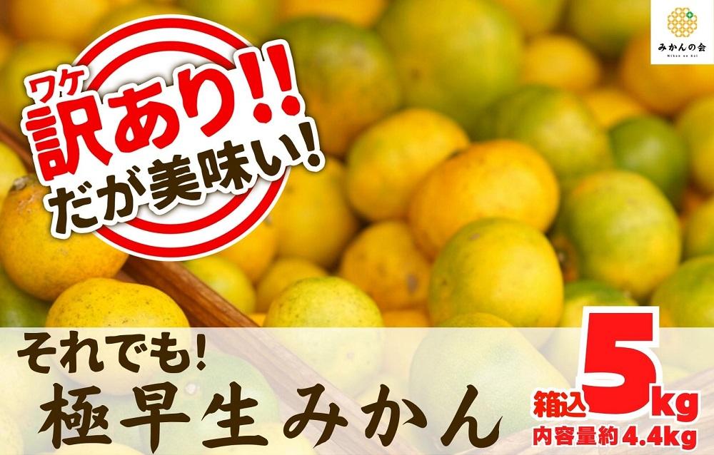 訳あり 極早生 箱込 5kg (内容量約 4.4kg) サイズミックス 有田みかん 和歌山県産 【みかんの会】