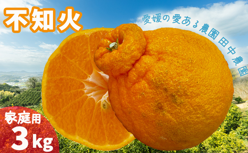 【2027年2月下旬から順次発送】 【家庭用】 不知火 しらぬい 約3kg でこぽんと同品種