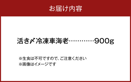 S065-003A_活き〆冷凍車海老 900g (400g×1パック・500g×1パック)  / 活き〆 車海老 真空パック 新鮮 凍結 エビ 天ぷら 豊かな甘み 塩焼き 素材の味 味噌漬け エビフラ