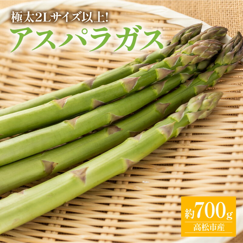 【ふるさと納税】期間限定企画 極太2Lサイズ以上! アスパラガス 約700g【2026-3月上旬～2026-4月下旬配送】 | 国産 高松市産 極太サイズ シャキシャキ 甘い 野菜 旬 旬の野菜 新鮮 産地直送 ご家庭 自宅用 おすそ分け 料理 材料 おうち時間 BBQ グルメ 冷蔵 瀬戸内