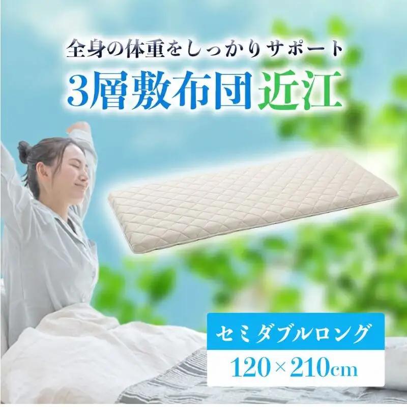 敷布団 近江 セミダブル 固綿70mm 敷布団