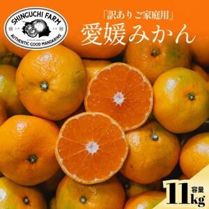 今シーズン発送開始!【訳あり】愛媛みかん 11kg 愛媛県産【C70-136】【1686736】