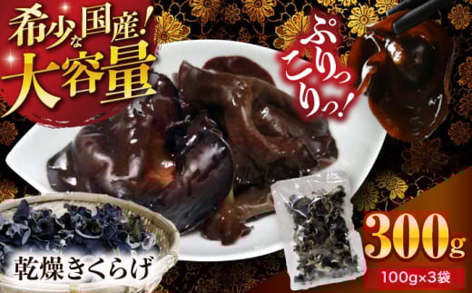 【希少な国産品】【大容量】大洲産・乾燥きくらげ 300g（100g×3袋） [AGBK010] きくらげ 国産 きくらげ 乾燥 乾燥きくらげ 乾物 おつまみ 和食 中華料理  キクラゲ 国産 ラーメン トッピング 木耳 国産 乾燥木耳