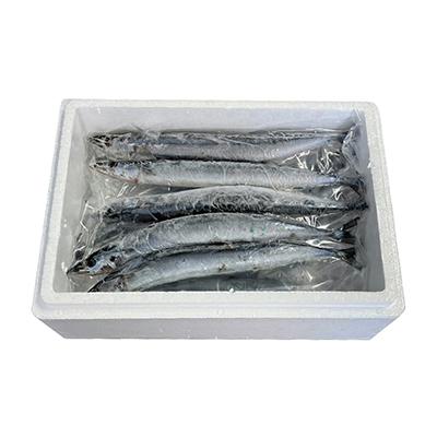 ふるさと納税 根室市 【北海道根室産】冷凍生さんま5尾×2P G-30001 |  | 03