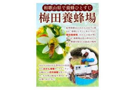 蜂蜜 特撰百花はちみつ 1200g 