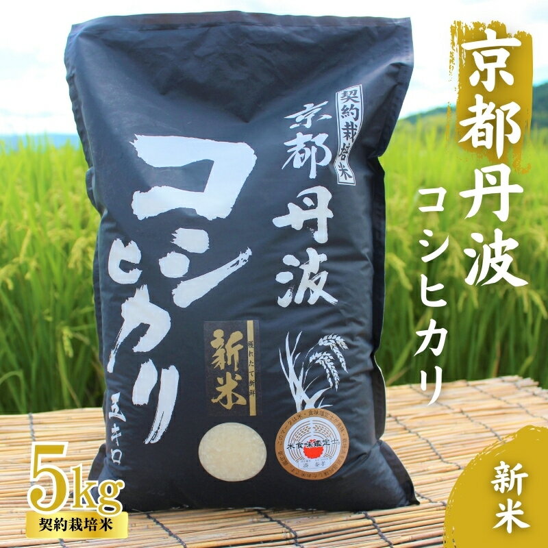 【ふるさと納税】令和7年産 京都丹波産 こしひかり 5kg 契約栽培米 白米 精米 お米 こめ コシヒカリ 令和7年 ご飯 ごはん 京都 京都府 南丹市　お届け：寄附受付後20日以内に発送