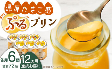 【全12回定期便】【卵が濃い！】たまごやさんのぷるプリン （濃厚仕立て） 6個入/回【ぷるたま工房】 [QBB004] [QBB004]
