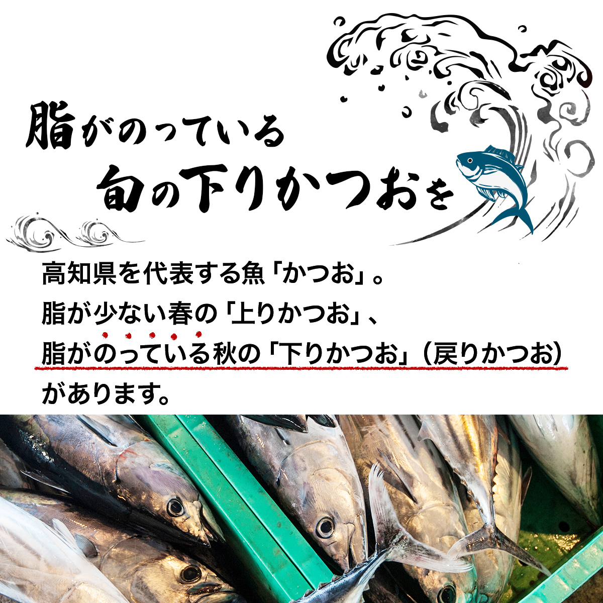 【完全１００％わら焼き】かつおのたたき２節セット_イメージ2