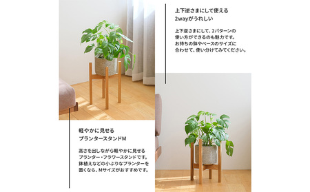 No.591-02 府中家具　プランター・フラワースタンド Mサイズ　ウォールナット ／ 木製 花台 植木鉢台 インテリア 広島県