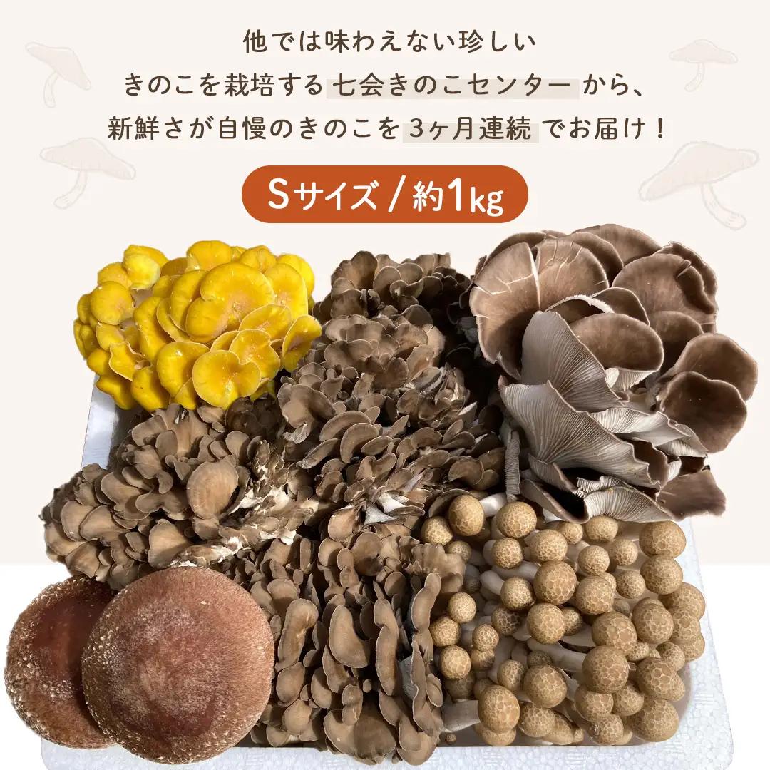 《 ３ヶ月 連続定期便 》 きのこ の 詰め合わせ Sサイズ 約1kg （茨城県共通返礼品 城里町） 定期便 キノコ 舞茸 あわび茸 たもぎ茸 しいたけ ぶなしめじ セット 鍋 炒め物 [CX005s