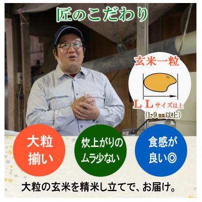 ふるさと納税 酒田市 【栽培期間中農薬不使用】ひとめぼれ 精米 5kg 大粒LLサイズ以上厳選【令和7年産】 |  | 03
