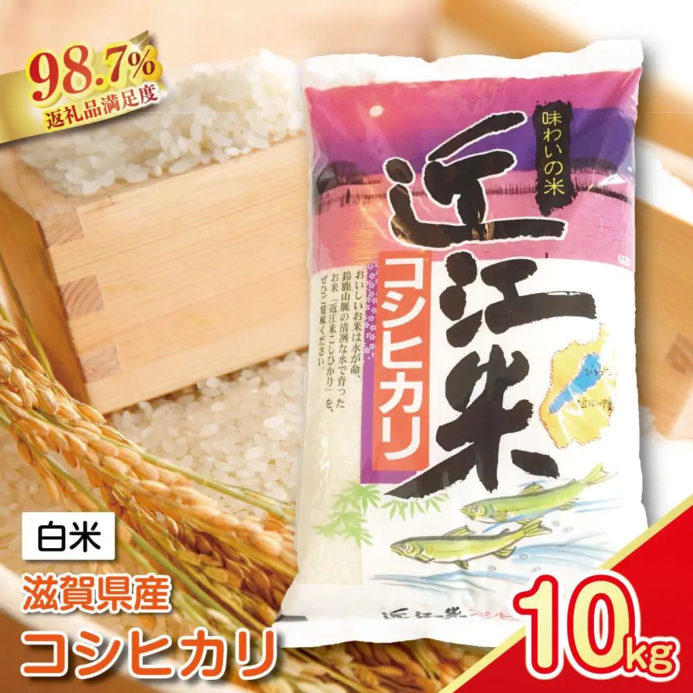 【新米】令和8年産　近江米　こしひかり【10kg（5kg×2袋）】【T020W5】 近江米 精米 コシヒカリ 5kg 2袋