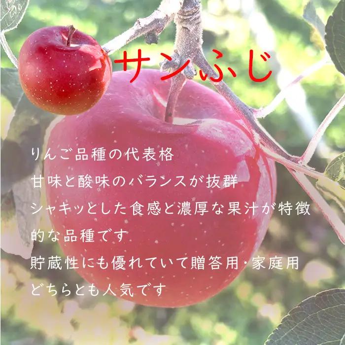 【2026年 先行予約 令和8年産】 訳あり りんご 5kg 期間限定 【若手生産者応援】 ふじ サンふじ 伊藤 快 果物 フルーツ 信州 麻績村 不揃い 規格外 家庭用