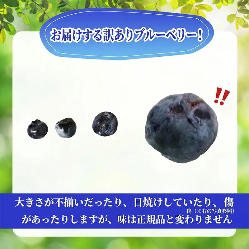 訳あり ブルーベリー 冷凍 1.2kg   blueberry