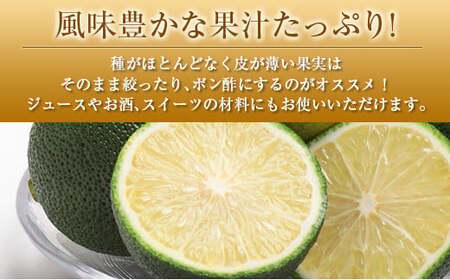 ◆みやざきへべす 約1kg 宮崎県産