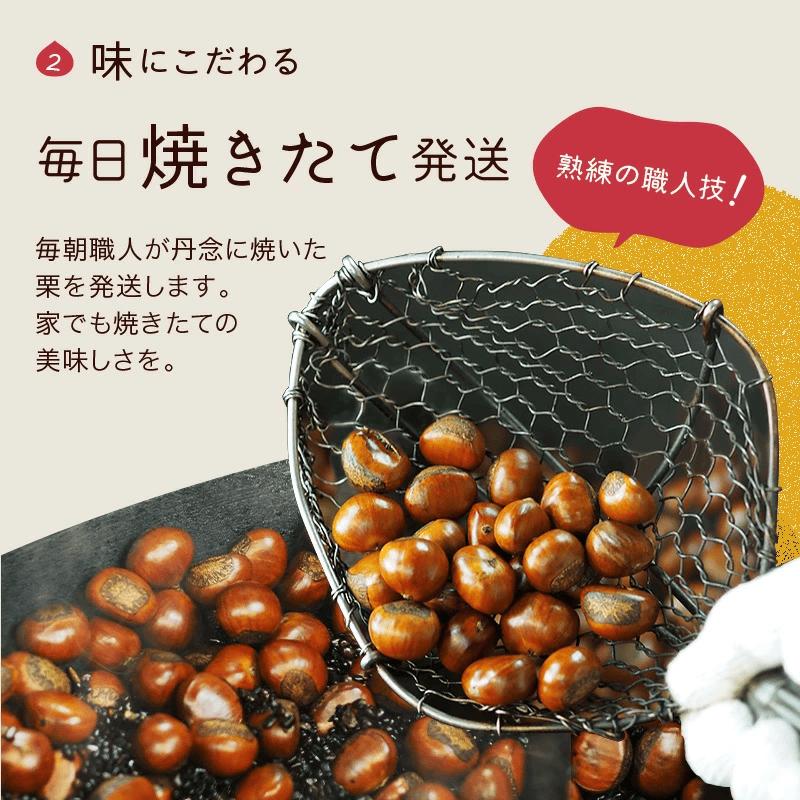 甘栗 天津甘栗 新栗 150g 期間限定 殻付き 栗 真空 無添加 保存料不使用 クリ 焼き栗 栗爪 焼栗 小分け お試し 常温 お取り寄せ 無着色 洋菓子 和菓子 おつまみ おやつ 栗きんとん 栗ご