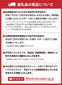 〈2024年度配送分〉甲府市産 シャインマスカット 1房（600ｇ以上）