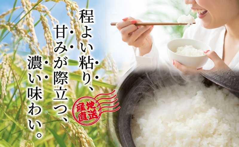 ゆめぴりか 10kg 令和6年産 北海道米 芦別米 精米 白米 お米 コメ こめ ごはん ご飯 炊き立て おいしい お取り寄せ 産地直送 送料無料 農家直送 ファームなかむら 貞子の家 北海道 202