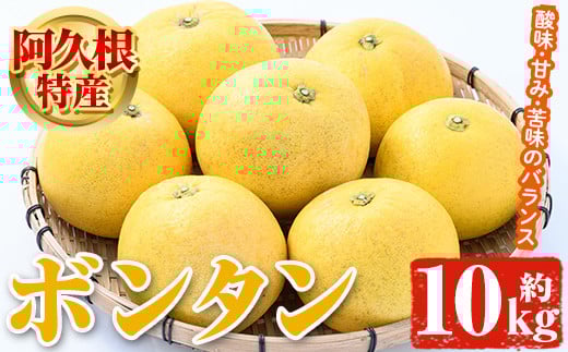 
            ＜先行予約受付中！2026年1月以降順次発送予定＞阿久根特産 ボンタン(10kg) 国産 果物 ボンタン ぼんたん フルーツ スイーツ 贈答用 ギフト 柑橘 期間限定【松永青果】akn053-28
          