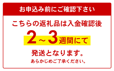 【ふるなび限定】【全国配送可能】ヤクルトの「Y1000」24本セット（6本入り×4パック）／ 乳製品乳酸菌飲料 茨城県 ヤクルト ヤクルト1000 ヤクルトY1000 ヤクルト１０００ ヤクルト乳酸菌