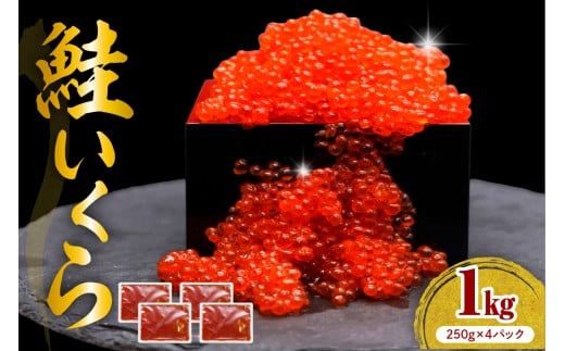 えりも【マルデン特製】鮭いくら醤油漬け250g×4箱【er002-099】