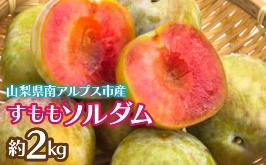 ＜2026年発送先行予約＞すももソルダム約2kg ALPCZ004