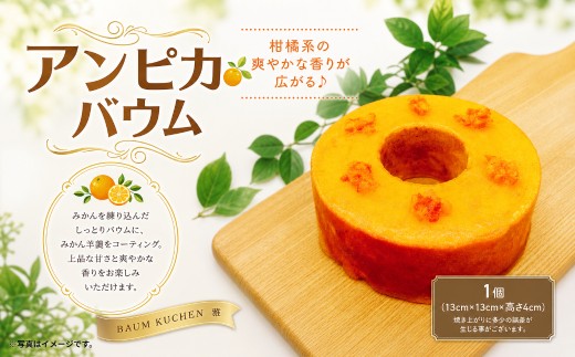 BAUM KUCHEN 雅のアンピカバウム おやつ バウムクーヘン バウムクーヘンみかん バウムクーヘン雅 佐賀県 太良町 M95
