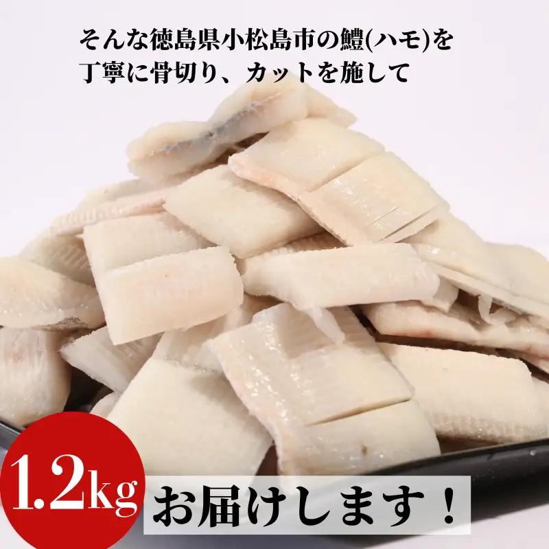 ハモ 切り身 1.2kg 小松島産 鱧 ハモ