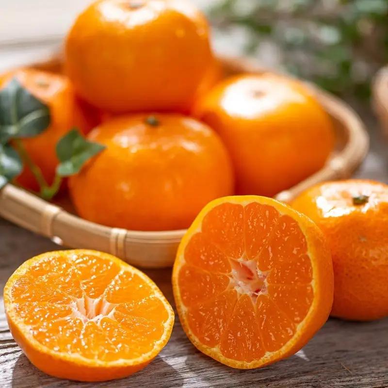 東かがわ市のちょこっと食卓応援品「小原紅みかん 2kg」