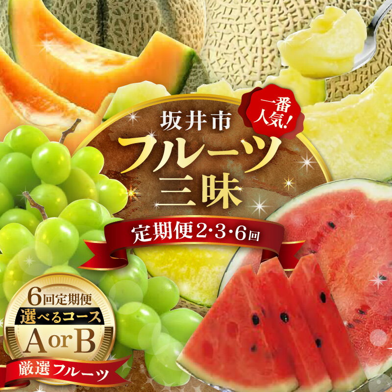 【ふるさと納税】【先行予約】 坂井市フルーツ三昧 ！！定期便 2・3・6回【2026年6月上旬以降順次発送開始予定】 フルーツ定期便 果物 くだもの フルーツ デザート シャインマスカット メロン スイカ 食べ比べ 梨 10万円 新鮮 おすすめ お試し 旬のフルーツ定期便