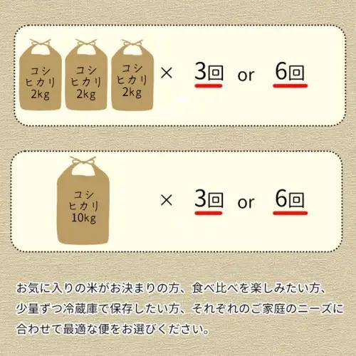 【3回定期便】コシヒカリ 10kg 定期便 精米 白米