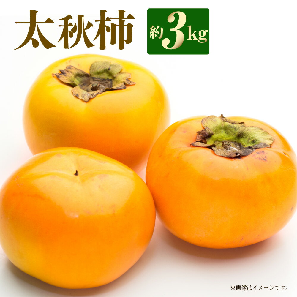 【ふるさと納税】【数量限定】【先行予約】太秋柿 約3kg かき カキ 柿 たいしゅうかき 果物 果実 旬 旬の果物 くだもの フルーツ 熊本県産 国産 熊本県 熊本市 先行予約 送料無料 【2025年10月上旬～下旬発送予定】