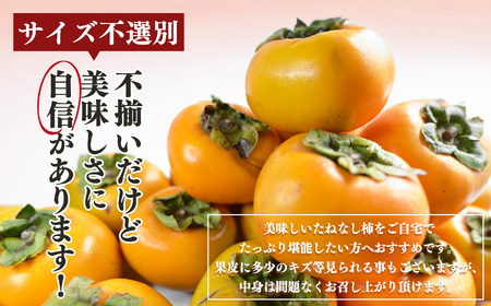 訳あり たねなし柿 約4kg （ 18～23個 ) 大人気 | 種無し たねなし 柿 フルーツ 果物 くだもの カキ かき 農家直送 家庭用 フードロス 秋の味覚 旬 大小混合 奈良県 五條市 まろや