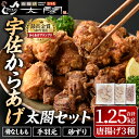 【ふるさと納税】宇佐からあげ「太閤」セット(合計1.25kg・3種)から揚げ 唐揚げ 骨なし 手羽元 砂肝 砂ずり 簡単 冷凍 惣菜 弁当 おかず おつまみ 揚げるだけ【101100100】【太閤】