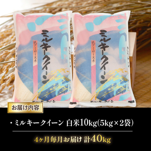 令和7年産 新米 ミルキークイーン 定期便 10kg 全4回 白米 5kg × 2袋 4ヶ月 近江米 みるきーくいーん 国産 お米 米 おこめ ごはん ご飯 白飯 しろめし こめ ゴハン 御飯 滋賀県