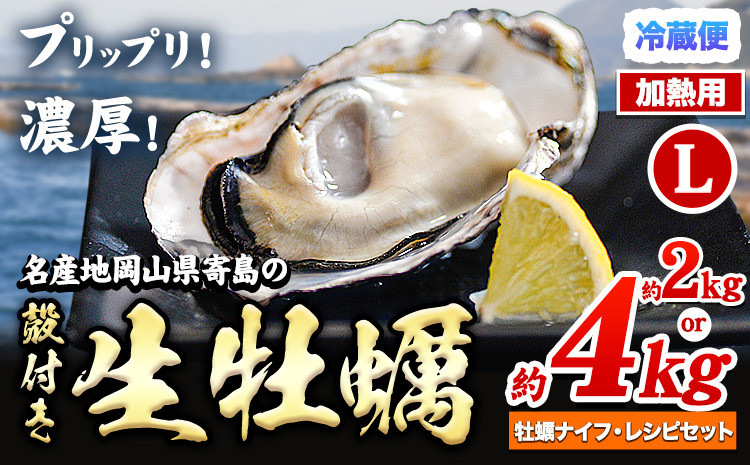 
            【先行予約】牡蠣 殻付き 牡蠣 Lナイフ レシピセット 加熱用 選べる 2kg or 4kg 寄島町漁業協同組合《2025年2月上旬-4月中旬頃出荷》岡山県 浅口市 海鮮 かき 牡蠣 岡山県寄島産 カキ 鍋 牡蠣鍋 バーベキュー BBQ カキフライ 【離島配送不可】
          