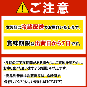 パスタ 生パスタ フェットチーネ スパゲッティーニ 麺のみ 12ヶ月 定期便 詰め合わせ 小分け 【パスタ】【ho1615】