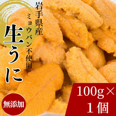 【ふるさと納税】天然生うに100g×1パック岩手県産　ミョウバン不使用【配送不可地域：離島・沖縄県・九州】【1625389】