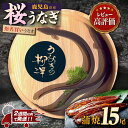 【ふるさと納税】うなぎの柳澤 うなぎ蒲焼 15尾 （計2.55kg） 《 2週間以内発送予定 》 | うなぎ ウナギ 鰻 国産 国産うなぎ セット 大崎町 うなぎ蒲焼 蒲焼 蒲焼き 鰻蒲焼 うなぎ蒲焼き お取り寄せ 鹿児島 鹿児島県大崎町 鹿児島県産