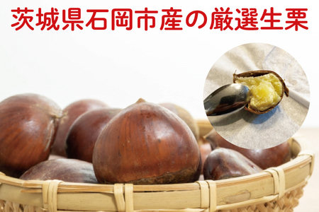 【先行予約】【9月中旬より順次発送】石岡市鶴沼の栗（生栗）2kg（茨城県共通返礼品/石岡市）【くり 栗 農薬不使用 オーガニック オーガニッ栗 珍しい 希少 秋 茨城県産 果物 果樹 栗ご飯 水戸市】