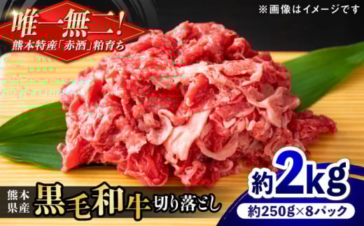 『原田畜産』 黒毛和牛 切り落とし 計約2kg (約250g×8パック) 【有限会社 九州食肉産業】 国産 牛肉 きりおとし 切り落とし スライス 小分け 牛丼 肉じゃが カレー 牛肉 きりおとし 熊本県産 [AYCN014]