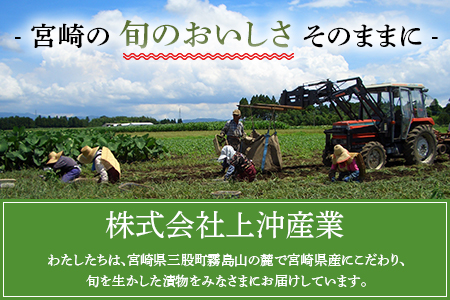 ＜手づくりらっきょう 400g×3袋セット＞ラッキョウ 辣韭 漬物 国産 宮崎県産 【MI321-ko】【株式会社上沖産業】
