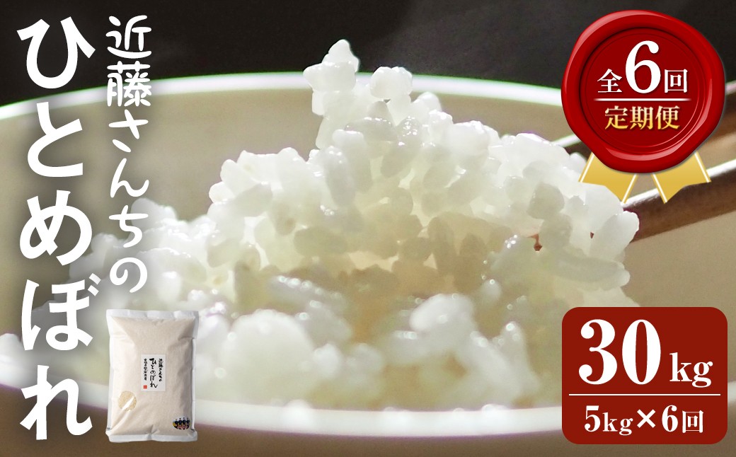 
            【6回定期便】≪令和7年産≫ ひとめぼれ 精米 計30kg(5kg×6回) 宮城県登米市産 お米 おこめ 米 コメ 白米 ご飯 ごはん おにぎり お弁当 6か月 頒布会【株式会社近藤農産】tm497
          