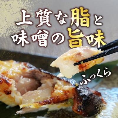 ふるさと納税 焼津市 銀だら 西京漬け 約80g×20切れ 銀ダラ 銀鱈(a25-038) |  | 02