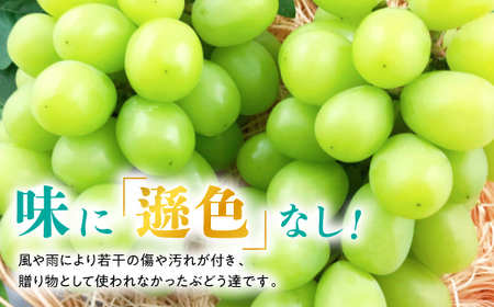 【2025年発送】訳あり!シャインマスカット約2kg!8月中旬～順次発送【人気の岡山産ぶどう】【配送不可地域：離島】【1378275】