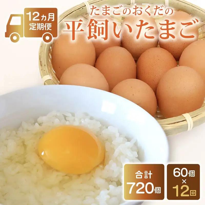 【たまご 定期便12回】平飼い卵 60個入【たまご 高知県 南国市】