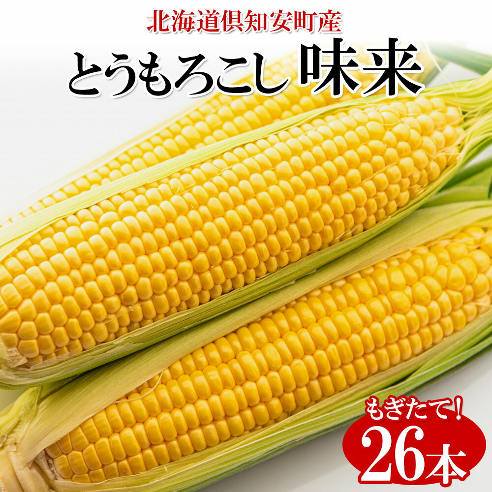 【ふるさと納税】【 2026年 出荷 】 北海道産 朝もぎ イエロー とうもろこし 味来 みらい 2Lサイズ 26本 約10kg 夏野菜 とうきび 新鮮 野菜 トウモロコシ 甘い ギフト 産地直送 コーン 産直 グリーンアースファーム　お届け：2026年8月上旬～2023年8月下旬まで