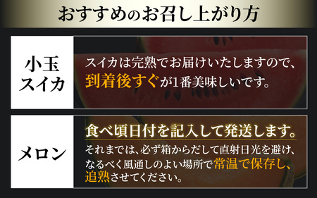 【先行予約】《定期便全2回》スイカとメロン大好きな人集まれ！第2弾！（小玉スイカ・マルセイユメロン・赤肉レノンメロン）計4玉 農家直送 秀品 お届け！/ 佐藤農園 フルーツ くだもの 果物 贈答 特産