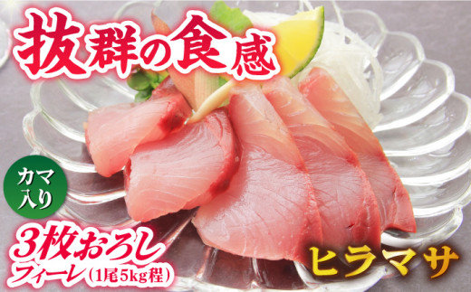 【コリコリ食感がたまらない！】新上五島町産 養殖 ヒラマサ （ヒラス） フィーレ 3枚おろし （カマ入り）【カミティバリュー】 [RBP006]