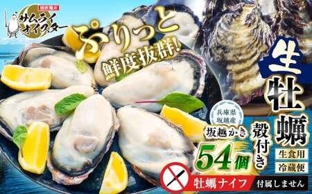 坂越かき 殻付き54個【ナイフなし】 牡蠣 カキ 海鮮 貝【2027年1月以降発送予定】